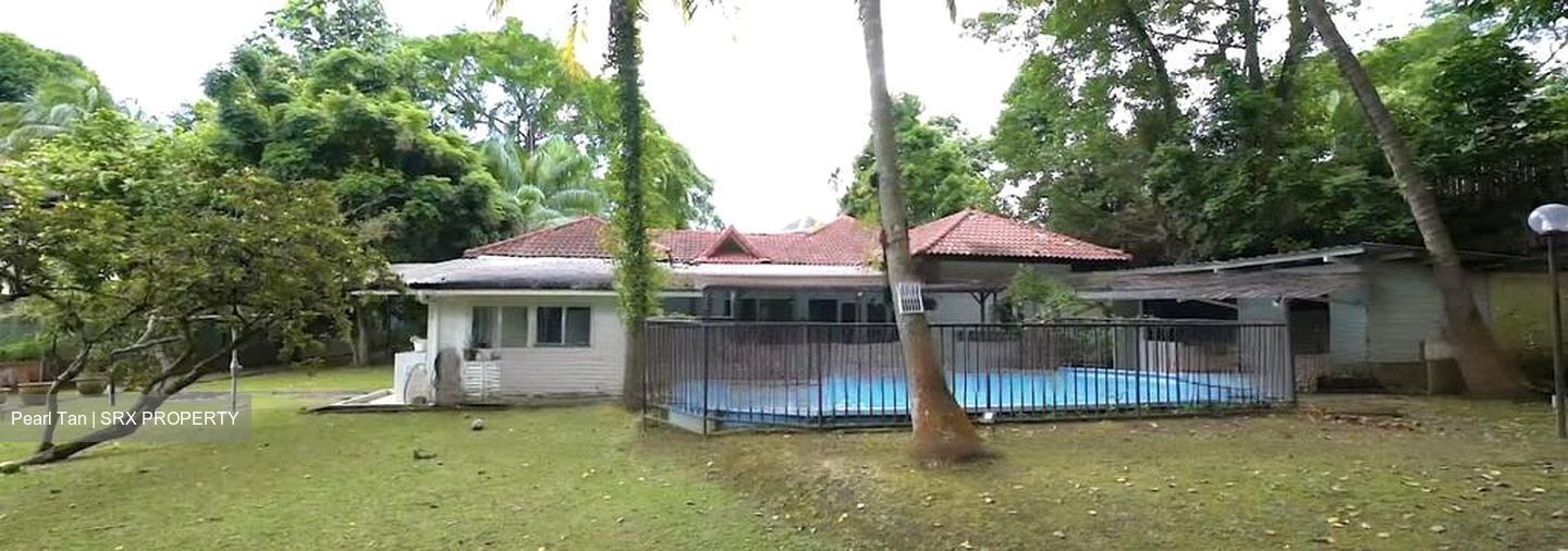 Leedon Park (D10), Detached #476707751